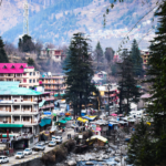 manali-1.png